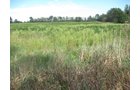 Property photo 17 - 110+/- Acres offered in 4 Tillable Tracts